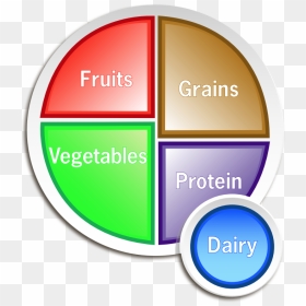 Myplate Png, Transparent Png - healthy icon png