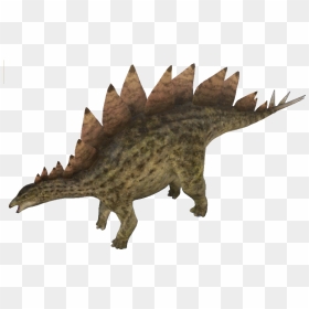 Stegosaurus Png Transparent Image - Stegosaurus Transparent, Png Download - stegosaurus png