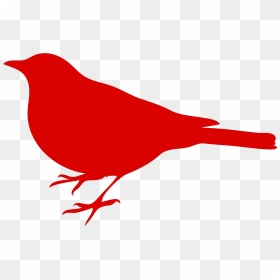 Bird Silhouette Clip Art, HD Png Download - red bird png