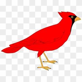Angry Red Bird Clipart Png - Cardinal Bird Clip Art, Transparent Png - red bird png