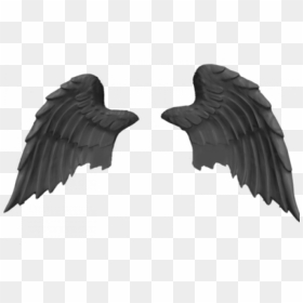 Bird Wings Png - Pankh Png, Transparent Png - wings.png