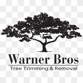 Warner Bros Tree Trimming & Removal - Vector Graphics, HD Png Download - warner bros png