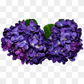 Thumb Image - Violet Png, Transparent Png - violet png
