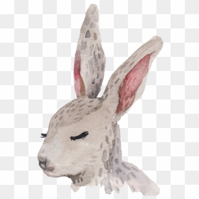 Cartoon Rabbit Png - Portable Network Graphics, Transparent Png - rabbit.png