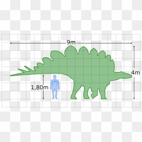 Stegosaurus Size, HD Png Download - stegosaurus png