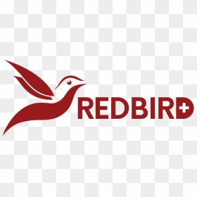 Redbird Inc - Perching Bird, HD Png Download - red bird png