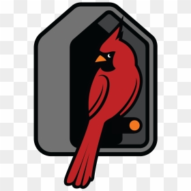 Red Bird Png, Transparent Png - red bird png