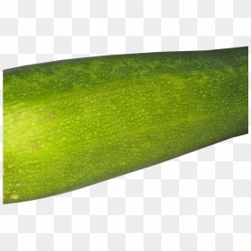 Zucchini Png Image1 - Gourd, Transparent Png - zucchini png