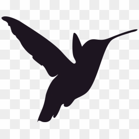 Hummingbird Stencils, HD Png Download - humming bird png