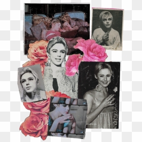Edie Sedgwick, HD Png Download - tumblr png collage