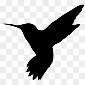 Hummingbird Svg, HD Png Download - humming bird png