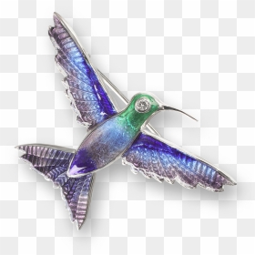 Ruby-throated Hummingbird , Png Download - Ruby-throated Hummingbird, Transparent Png - humming bird png