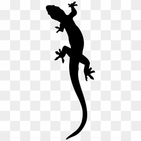 Salamander Silhouette Clip Arts - Lizard Silhouette Png, Transparent ...