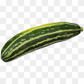 Courgette Rayée, HD Png Download - zucchini png