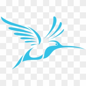 Logo Of Hummingbirds , Png Download - Coraciiformes, Transparent Png - humming bird png