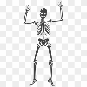 Halloween 0018 Clip Arts - Skeleton Vector, HD Png Download - halloween pngs