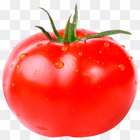 Thumb Image - Tomato Meme, HD Png Download - tomate png