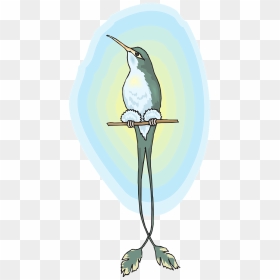 Illustration, HD Png Download - humming bird png