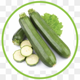 Rhubarb Md Circle - Calabacin Uruguay, HD Png Download - zucchini png