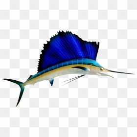 Colorful Sailfish Clipart , Png Download - Atlantic Sailfish, Transparent Png - swordfish png