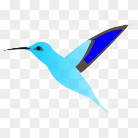 Graphics Of Humming Bird In Flight - Burung Langit Kartun Png, Transparent Png - humming bird png