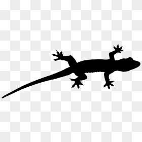 Gecko Lizard Fauna Font Silhouette - Clip Art Lizard Silhouette, HD Png Download - gecko png