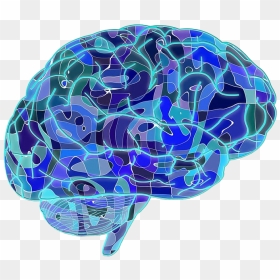 Blue Brain Png High-quality Image - Psychology Brain Transparent, Png Download - blue sphere png