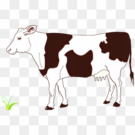 Clip Art Vector Graphics Ayrshire Cattle Drawing Beef - Cow Clipart Black And White, HD Png Download - cattle png