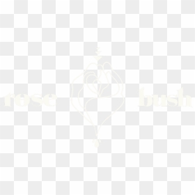 Rosebush Forweb Logo Cropped 01 - Sketch, HD Png Download - rose .png