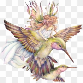 Fairy Bird Png File - Fairy And Hummingbird Tattoo, Transparent Png - humming bird png