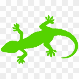 Gecko Clipart Svg - Gecko Silhouette, HD Png Download - gecko png
