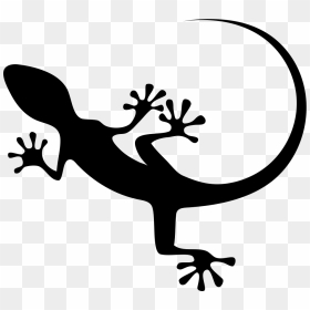 Gecko Top View Shape - Gecko Vector, HD Png Download - gecko png