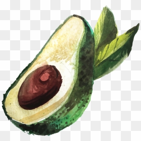 Aguacate Png Dibujo , Png Download - Avocado Drawing Png, Transparent Png - aguacate png