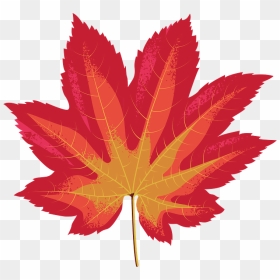 Vine Maple Red Leaf Clipart - Clip Art, HD Png Download - maple png