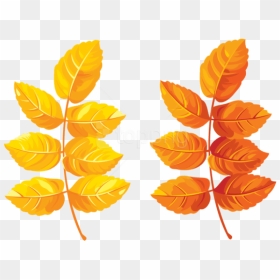 Free Png Download Fall Leaves Clipart Png Photo Png - Yellow Orange Leaf Clipart, Transparent Png - fall leaves clipart png