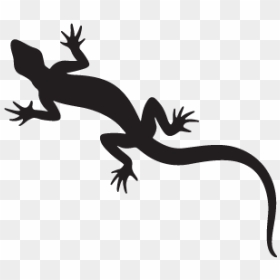 Gecko Lizard New Zealand Fantail Silhouette - Silhouette Transparent Lizard Clipart, HD Png Download - gecko png