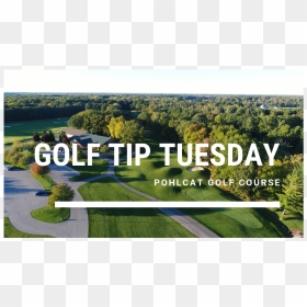 Pohlcat Tip Tues - Aerial Photography, HD Png Download - tiger woods png