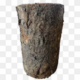 Wood, HD Png Download - stump png