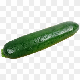 Zucchini , Png Download - Gourd, Transparent Png - zucchini png