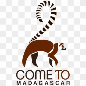 Come To Madagascar - Logo Conseturismo, HD Png Download - north face logo png