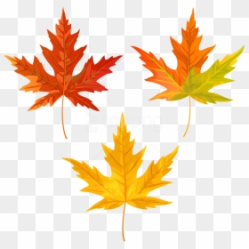 Free Png Download Orange Fall Leaves Clipart Png Photo - Clip Art Fall Leaves Png, Transparent Png - fall leaves clipart png