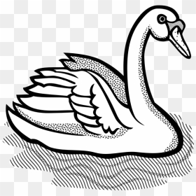 Swan With Part Spotty Feathers In Water Vector Image - Clipart Black And White Swan, HD Png Download - water vector png
