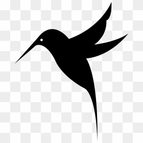 Hummingbird Drawing Clip Art - Hummingbird Pyrography, HD Png Download - humming bird png