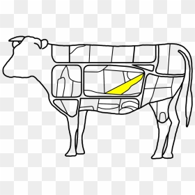 Korean Cuts Of Beef - Primal Cuts Beef Cuts Diagram Blank, HD Png Download - cattle png