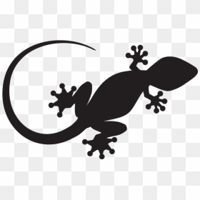 Extra Join For Exclusive - Gecko Logo, HD Png Download - gecko png