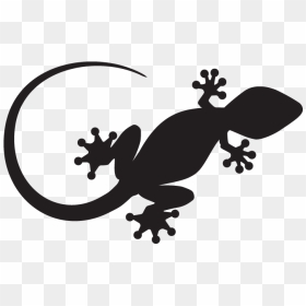 Extra Join For Exclusive - Gecko Logo, Hd Png Download - Vhv