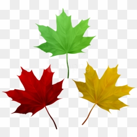 Free Png Download Fall Leaves Set Clipart Png Photo - Free Autumn Leaves Clipart, Transparent Png - fall leaves clipart png
