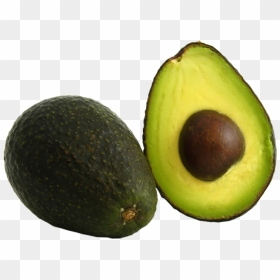 Avocado Hass, HD Png Download - aguacate png