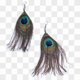 African Peacock Feather Hook Earrings - Feather Earring Transparent Background, HD Png Download - earings png