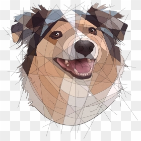 @junojots Won One Of The Buy One Get One Slots Here - Shetland Sheepdog, HD Png Download - geometric png tumblr